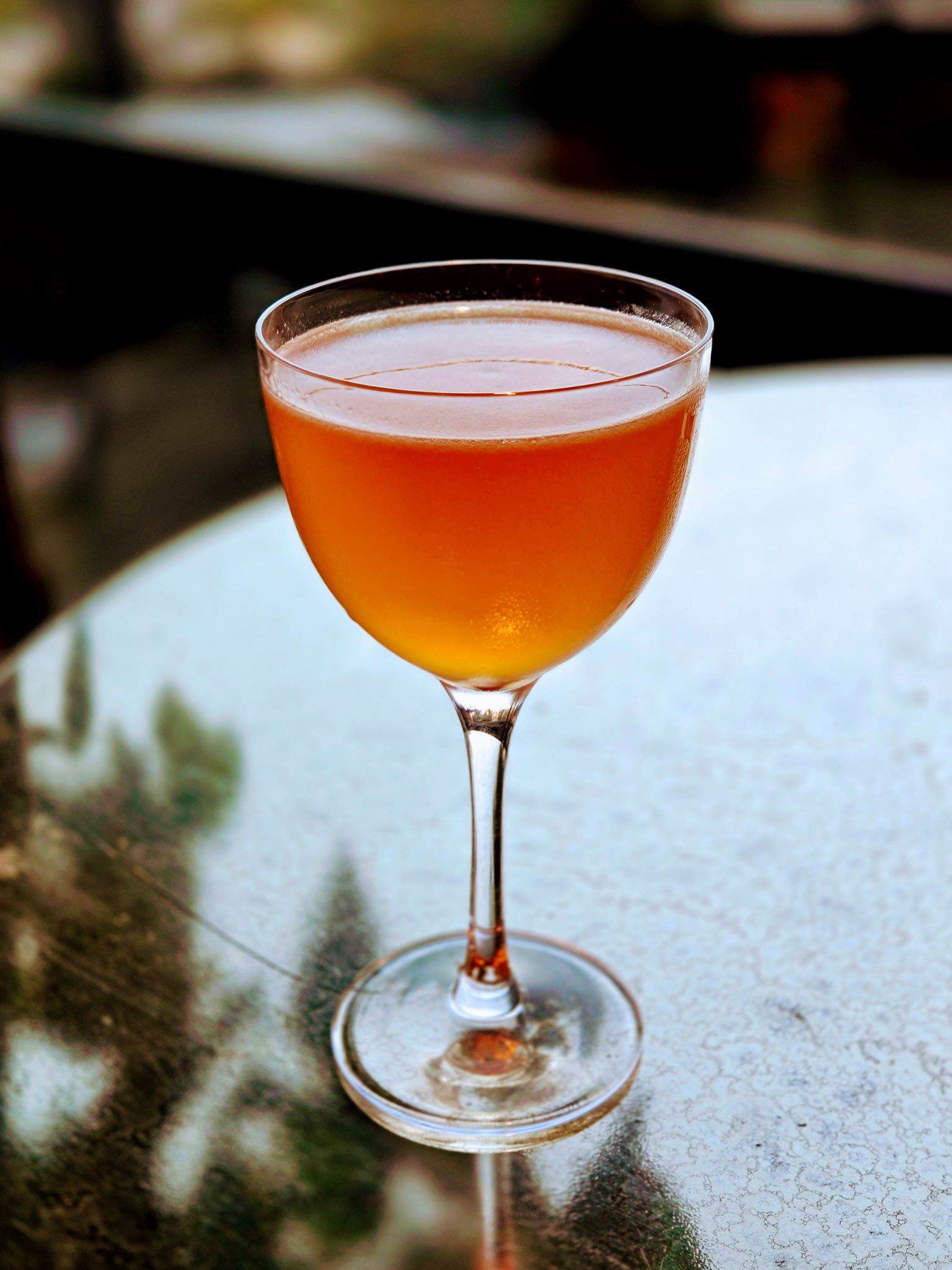 Coyote Creek cocktail in cocktail glass