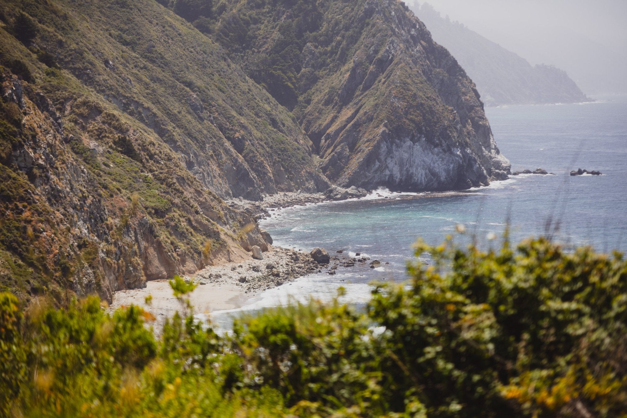 Big Sur Beach with plants in the foreground.