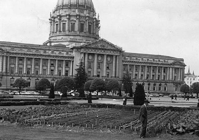 Victory Garden photo of gardens in front of San Francisco City Hall